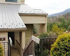 North Carolina Fox Run