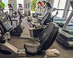 North Carolina Fox Run